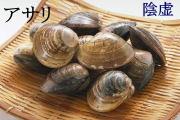 あさり（浅蜊）
