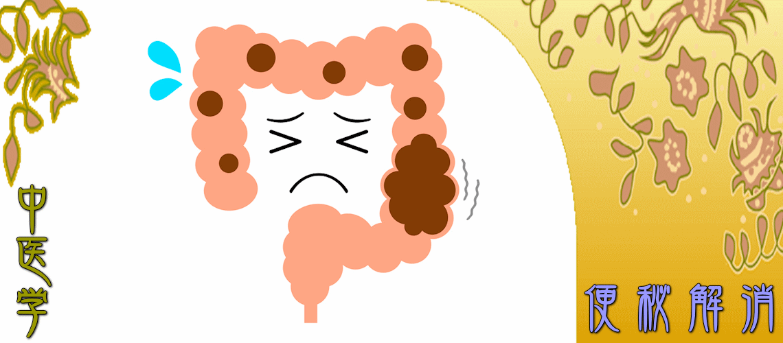 便秘解消（実証タイプの便秘-瘀血証）