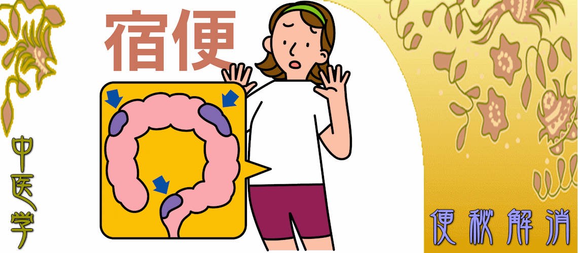 便秘解消（虚証タイプの便秘-脾気虚証）