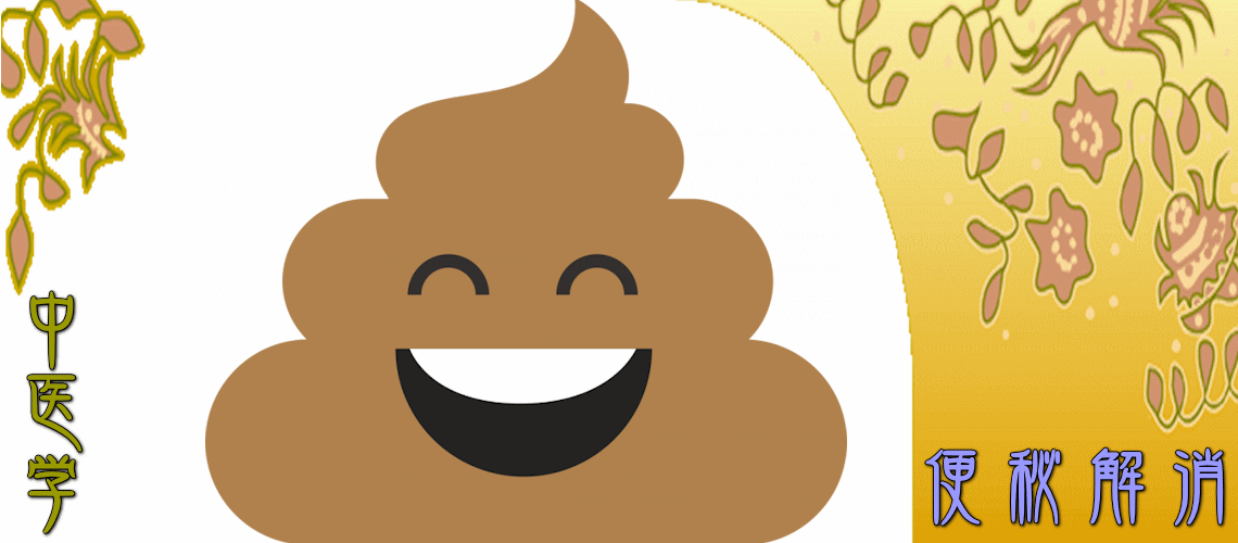 便秘解消（虚証タイプの便秘-脾気虚証）