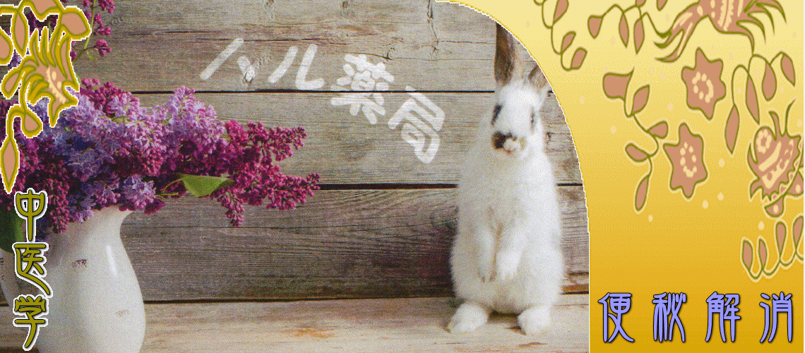 便秘解消（実証タイプの便秘-胃腸燥熱証）