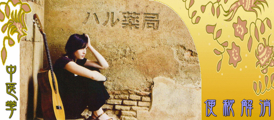 便秘解消（実証タイプの便秘-肝鬱気滞証）