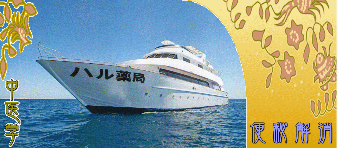 便秘解消（実証タイプの便秘-瘀血証）