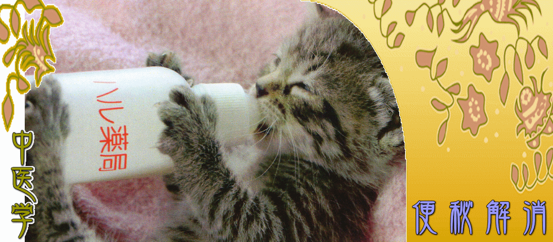 便秘解消（虚証タイプの便秘-脾気虚証）