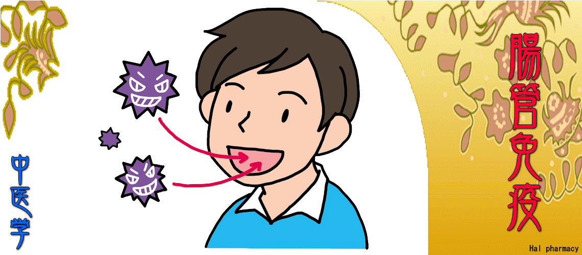 『腸管免疫』対応（Top-）