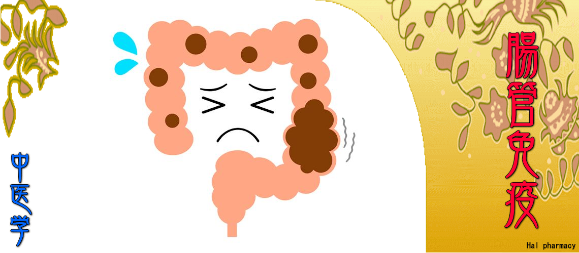 『腸管免疫』対応（湿の停滞-）