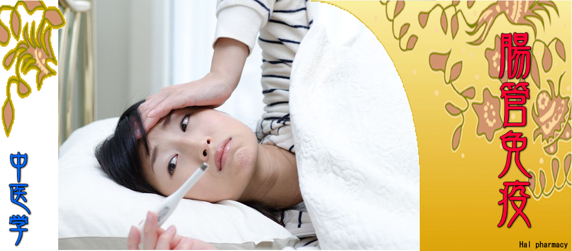 『腸管免疫』対応（湿の停滞-）