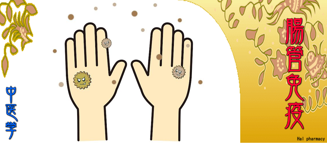 『腸管免疫』対応（熱こもり-）