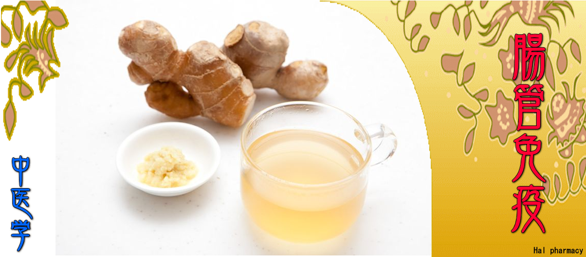 『腸管免疫』対応（気の停滞-）