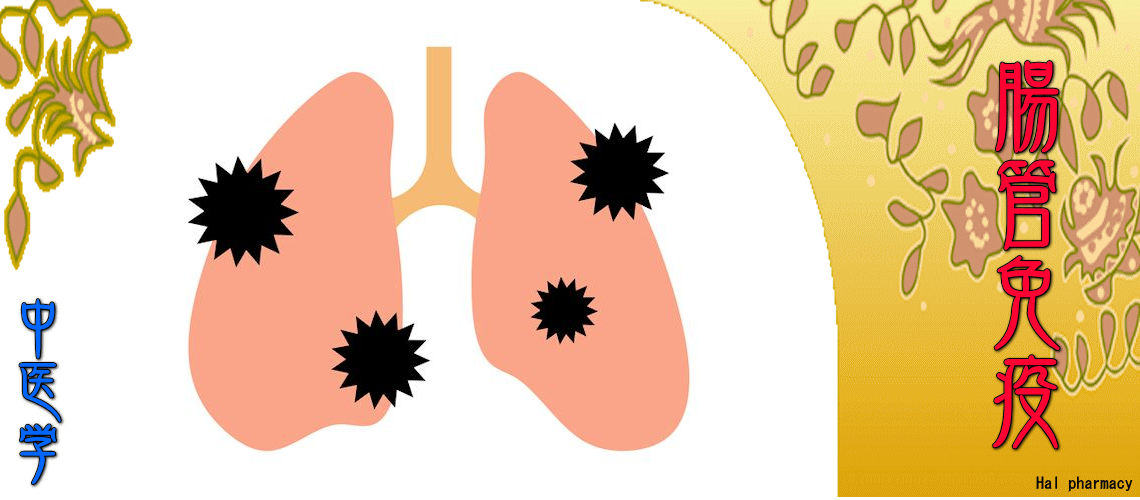 『腸管免疫』対応（Top-）