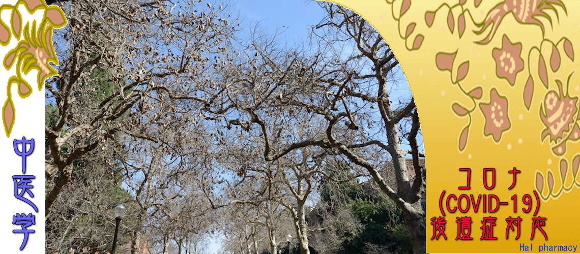 コロナ後遺症対応（全症状-）