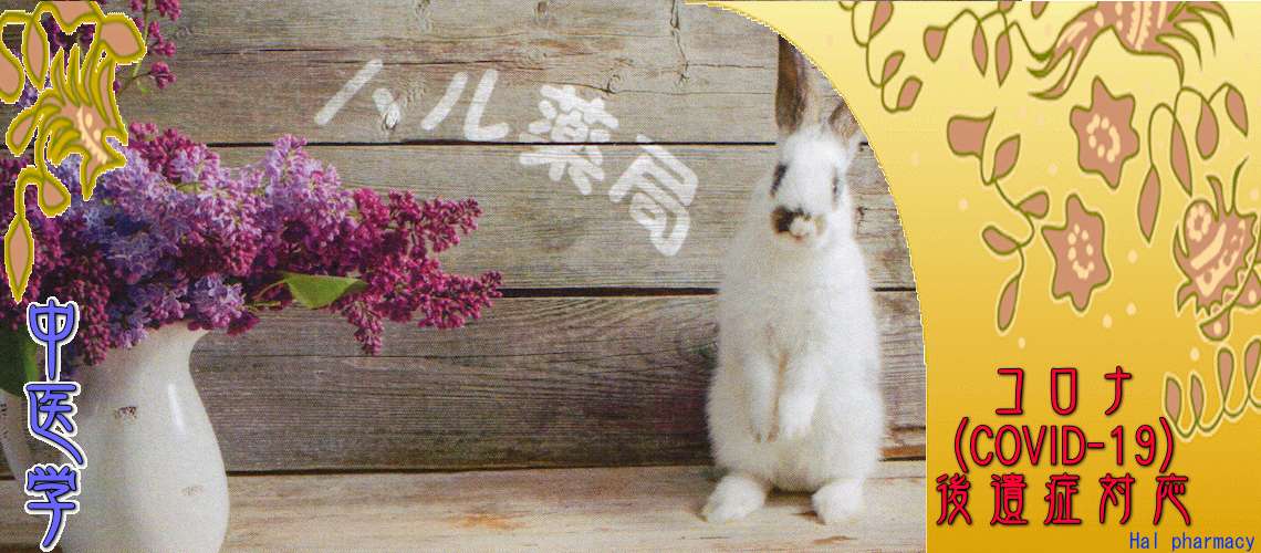 コロナ後遺症対応（基本処方-発症防止・濃厚接触者）