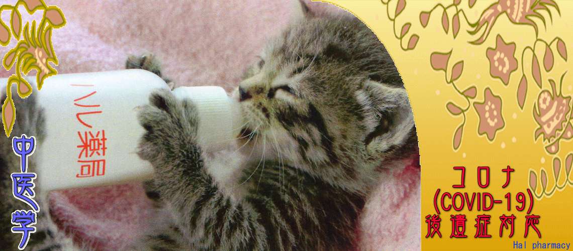 コロナ後遺症対応（基本処方-後遺症防止に）