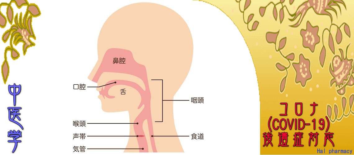 コロナ後遺症対応（精神・神経疾患-頭痛）