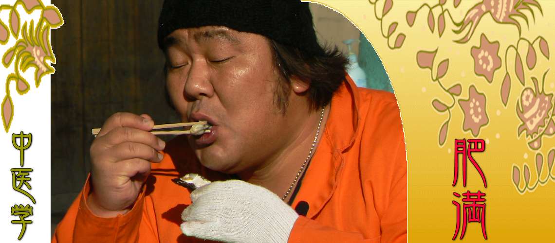 肥満（ダイエット・メタボ）（食積（脂肪肥り）-）