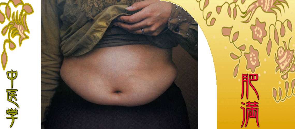 肥満（ダイエット・メタボ）（痰飲（水肥り）-）