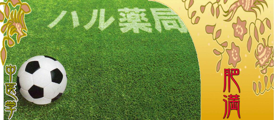 肥満（ダイエット・メタボ）（Ｔｏｐ-）