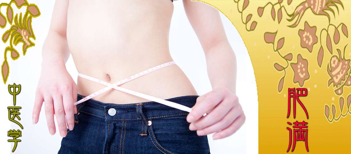 肥満（ダイエット・メタボ）（瘀血（赤肥り）-）