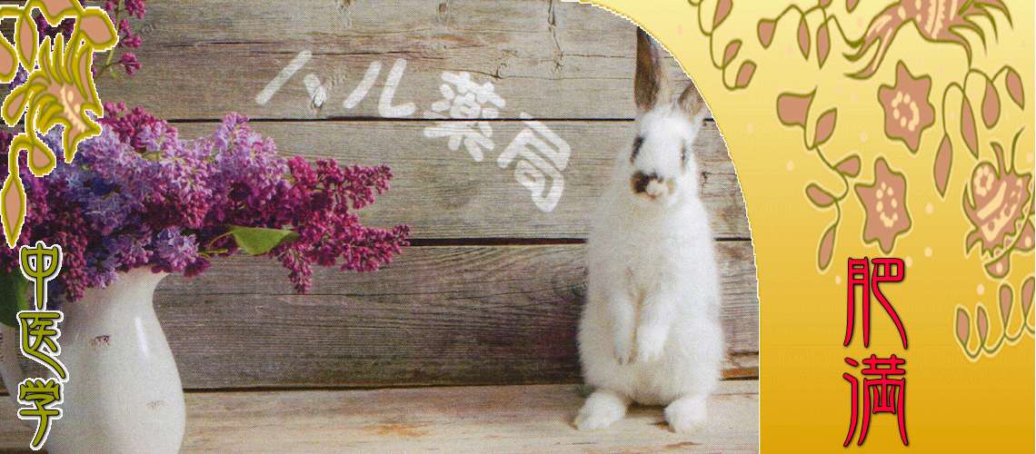 肥満（ダイエット・メタボ）（食積（脂肪肥り）-）