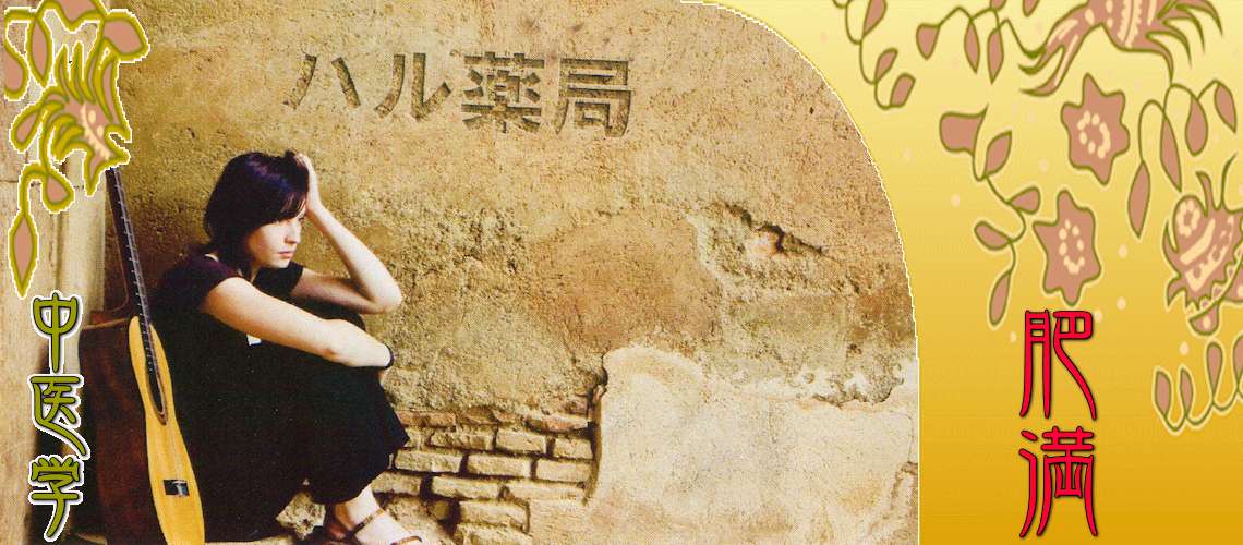 肥満（ダイエット・メタボ）（痰飲（水肥り）-）