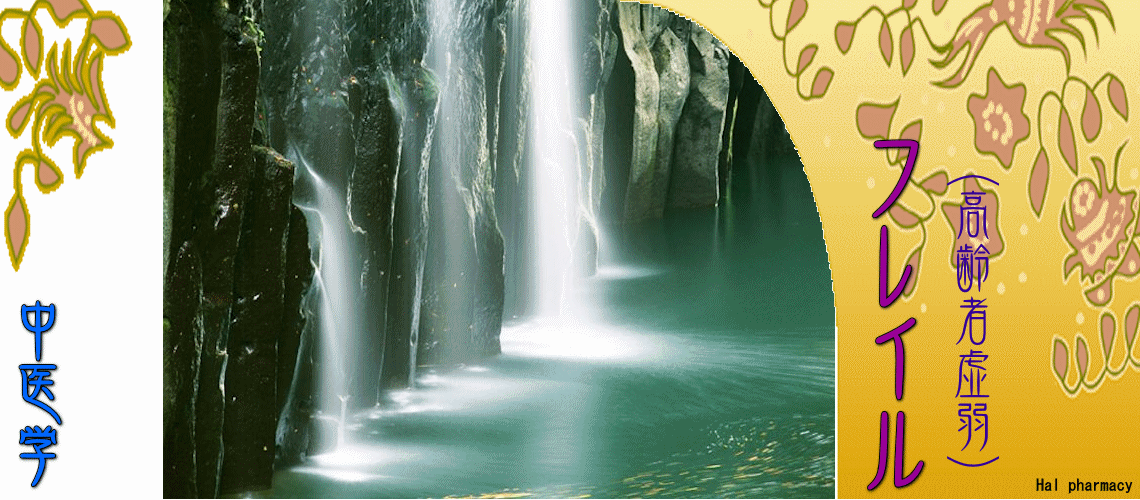 フレイル（高齢者虚弱）（脾胃性フレイル-）