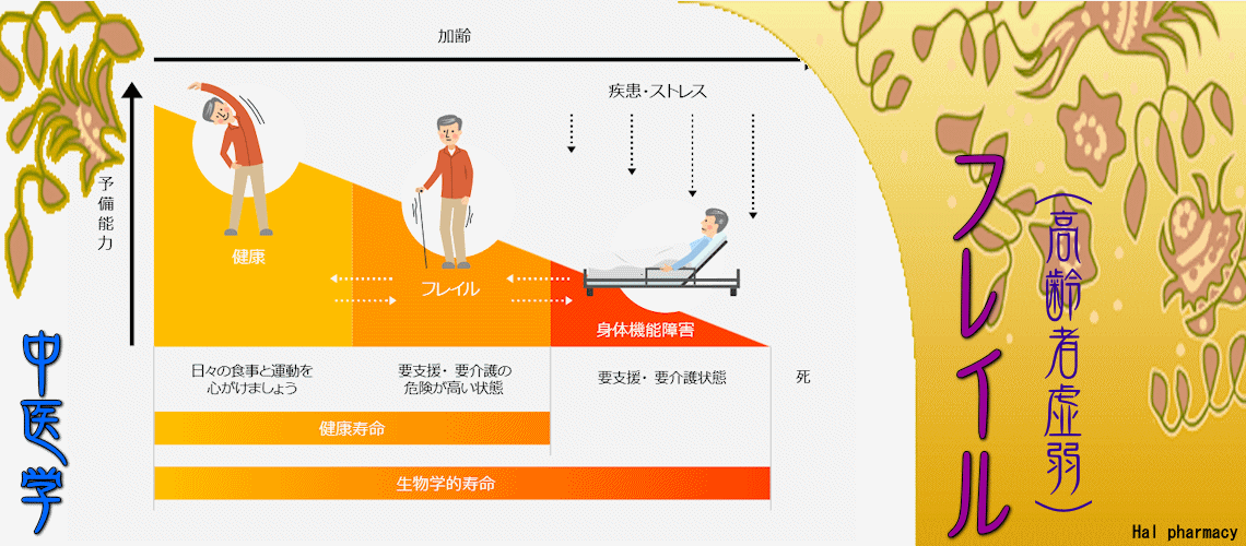 フレイル（高齢者虚弱）（Top（フレイルとは？）-）