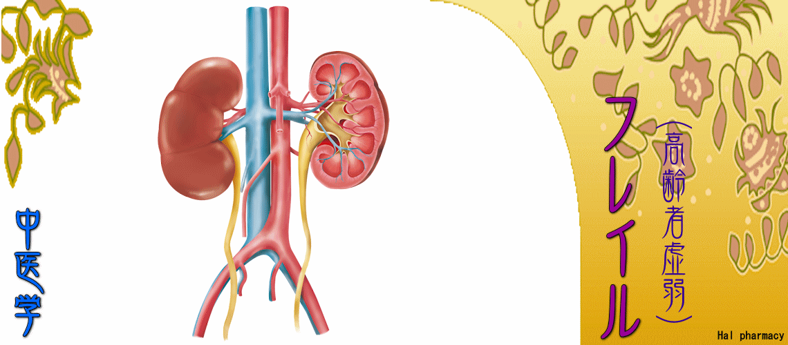 フレイル（高齢者虚弱）（腎性フレイル-）