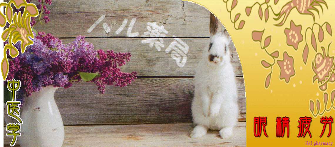 眼精疲労（肝血虚-）