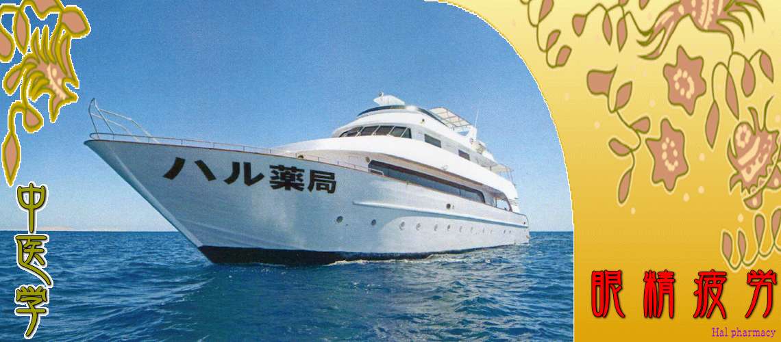 眼精疲労（肝腎陰虚-）