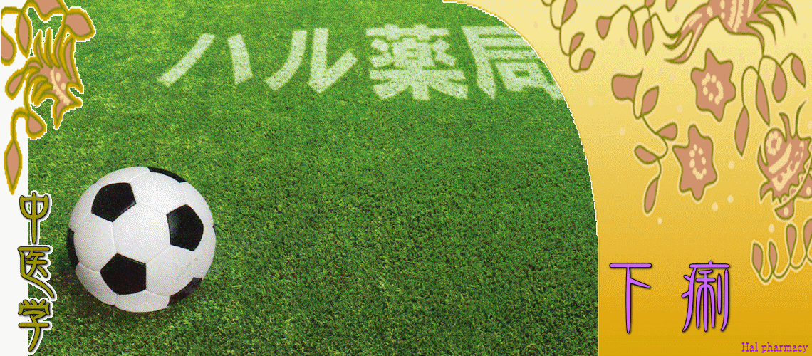 下痢体質改善（Top-）