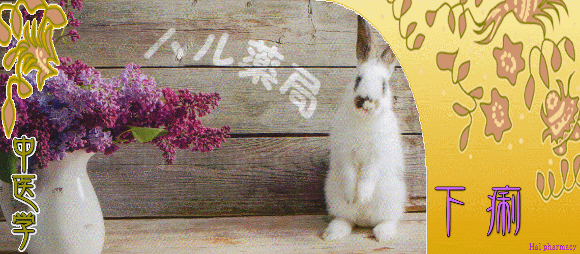 下痢体質改善（急性-冷え症）
