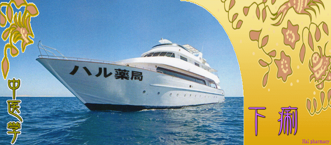 下痢体質改善（急性-食の不摂生）