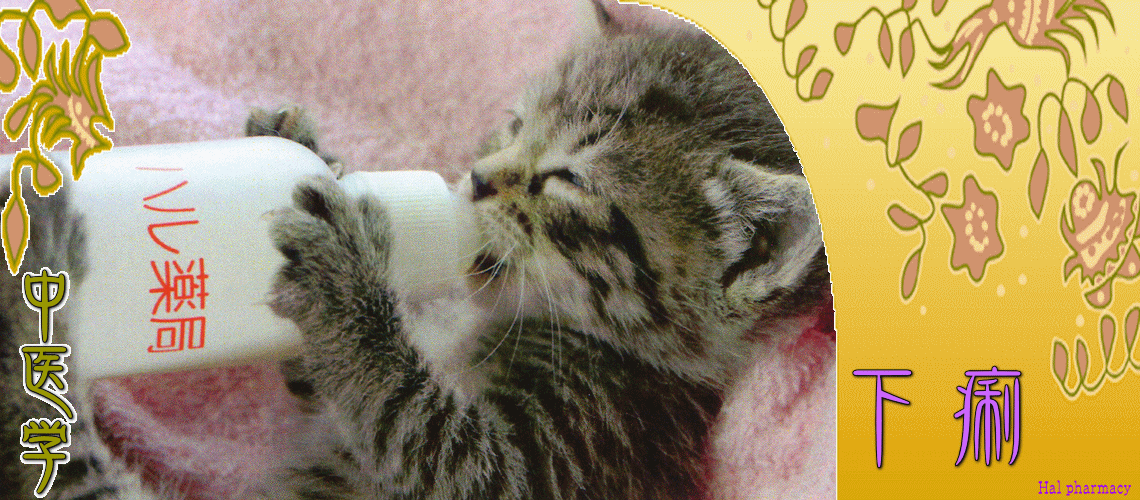 下痢体質改善（急性-寒湿証）