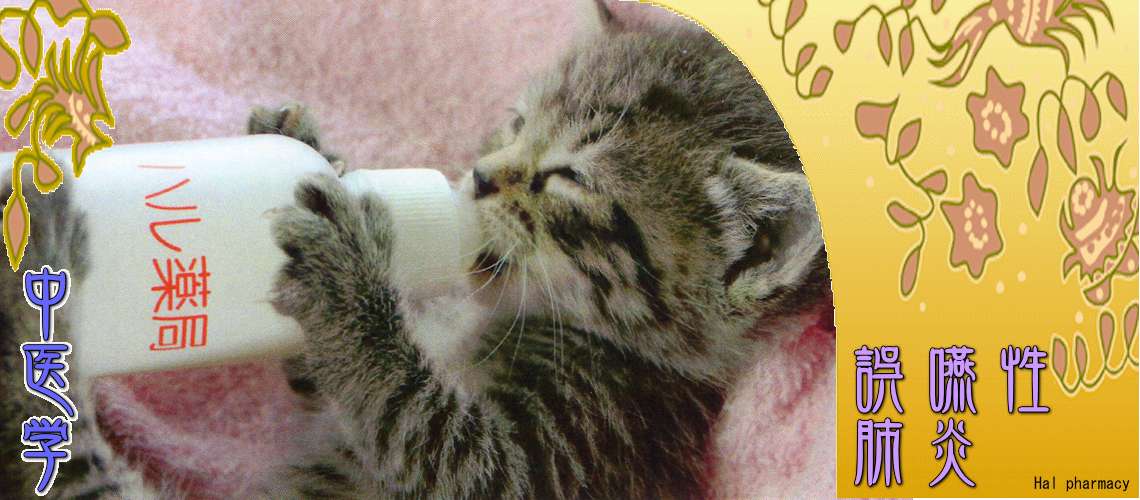 誤嚥性肺炎（肺を強く-肺陰虚）