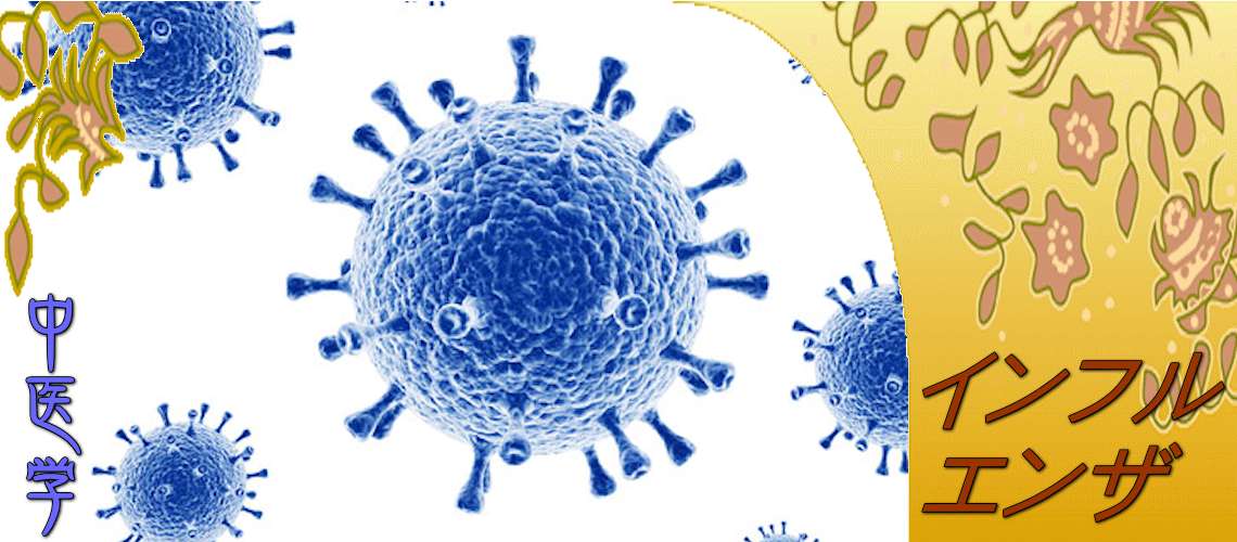 インフルエンザ（Top-）