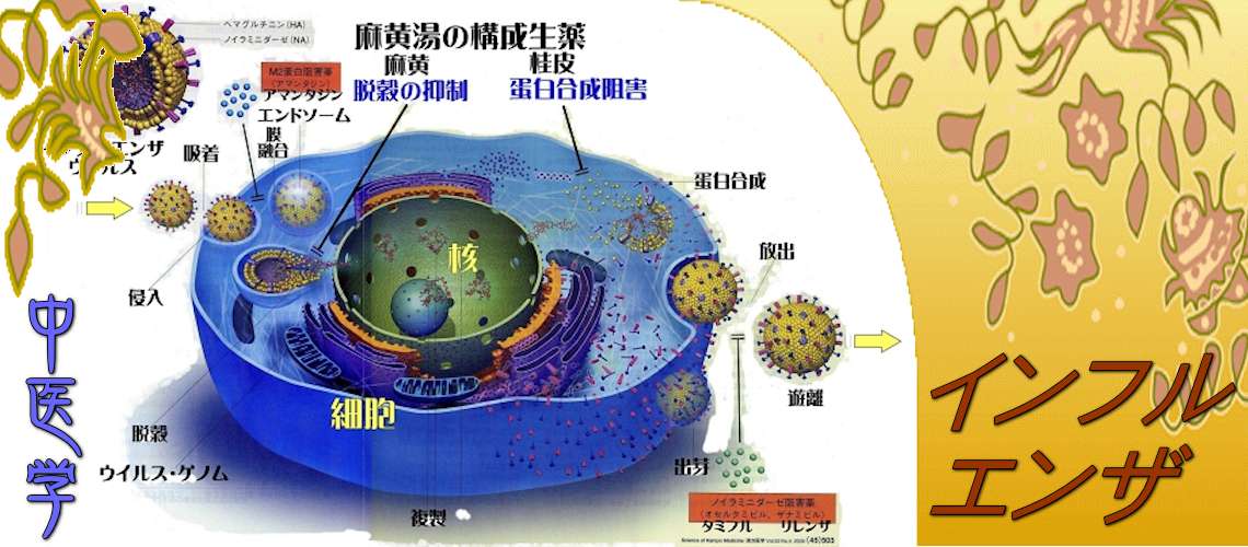 インフルエンザ（もしかかったら-）