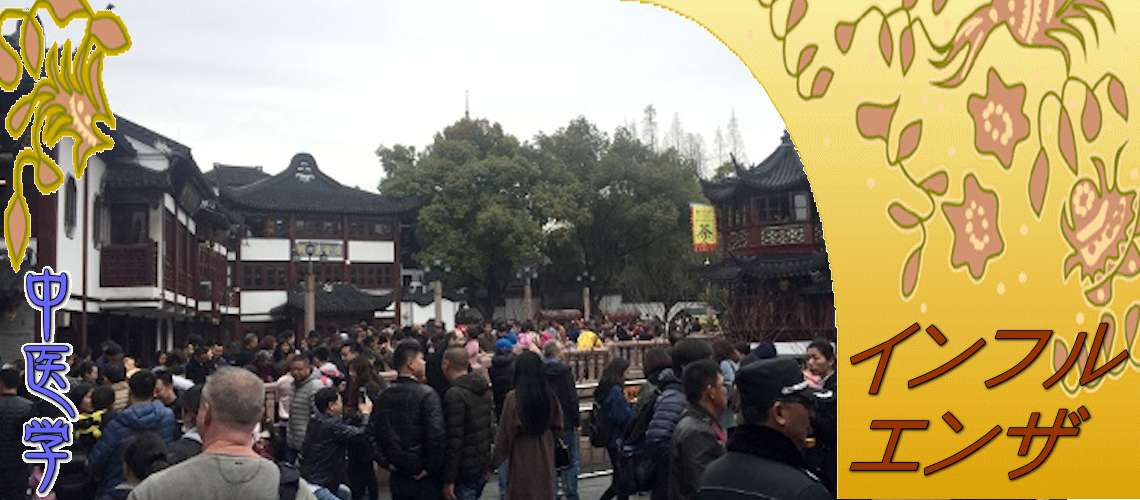 インフルエンザ（Top-）