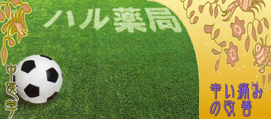 辛い痛みの改善（辛い痛みの改善（目次）-）