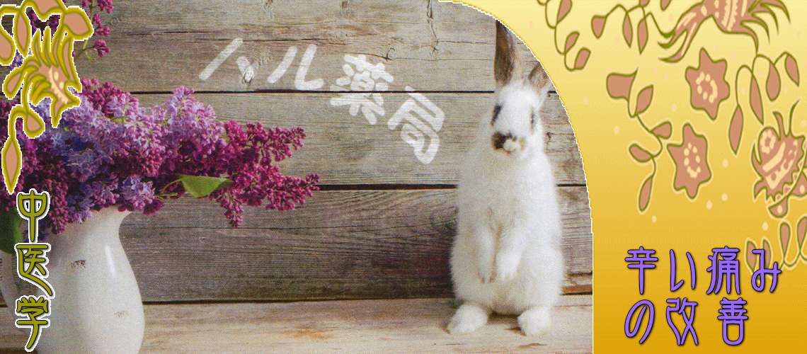 辛い痛みの改善（辛い痛みの改善（目次）-）