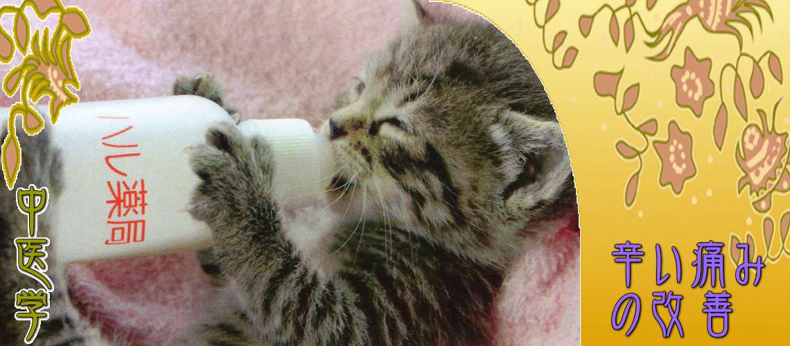 辛い痛みの改善（辛い痛みの改善（目次）-）