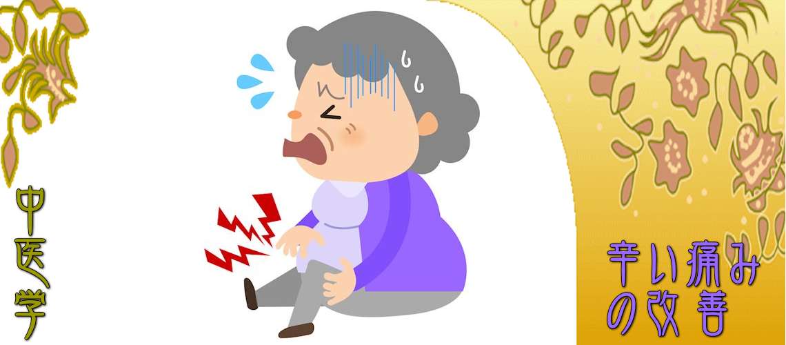 辛い痛みの改善（邪気の侵入-湿痺阻絡証）