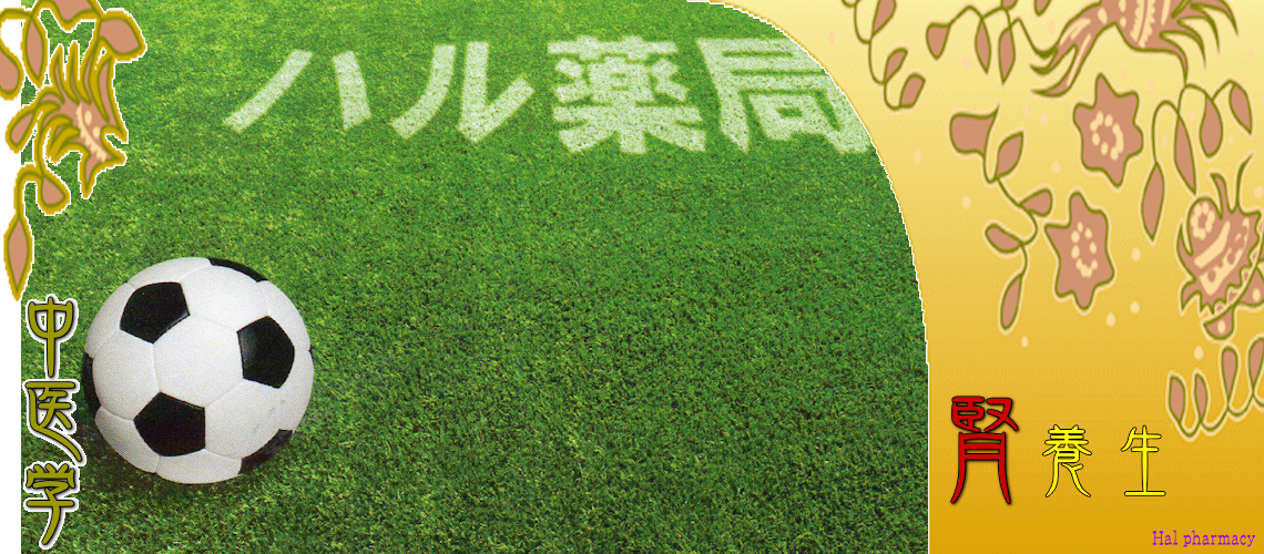 腎・対応（Top-）