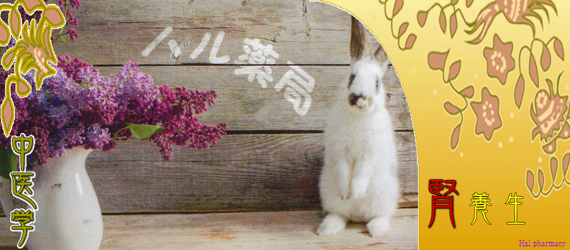 腎・対応（「精」貯蔵-）