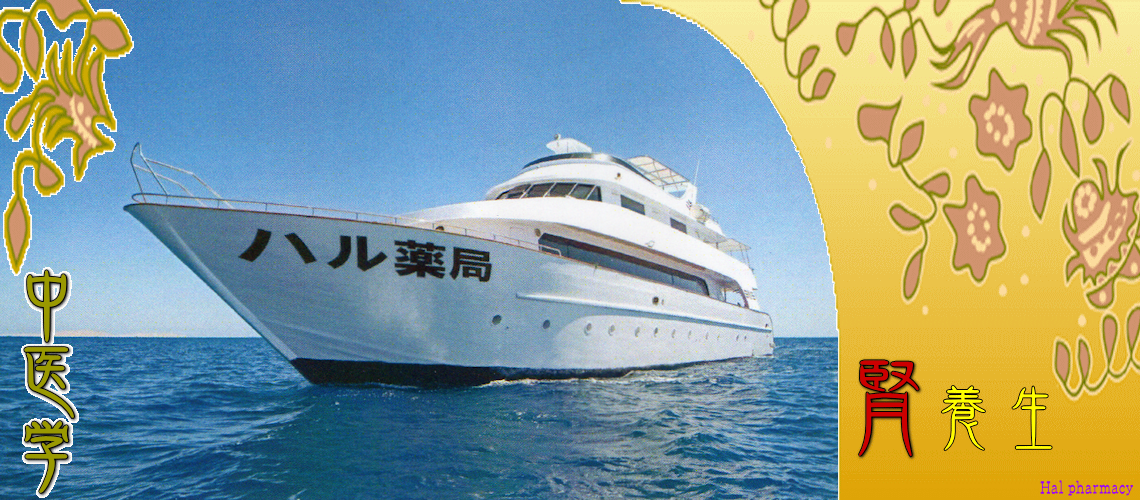 腎・対応（尿を排泄-）