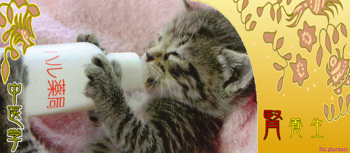 腎・対応（納気-）