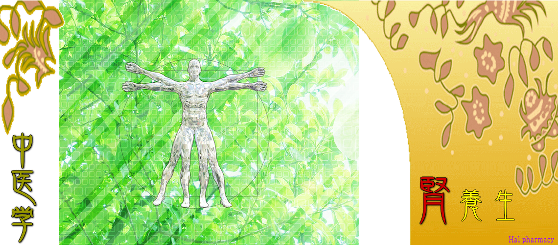 腎・対応（骨・脳・髪-）