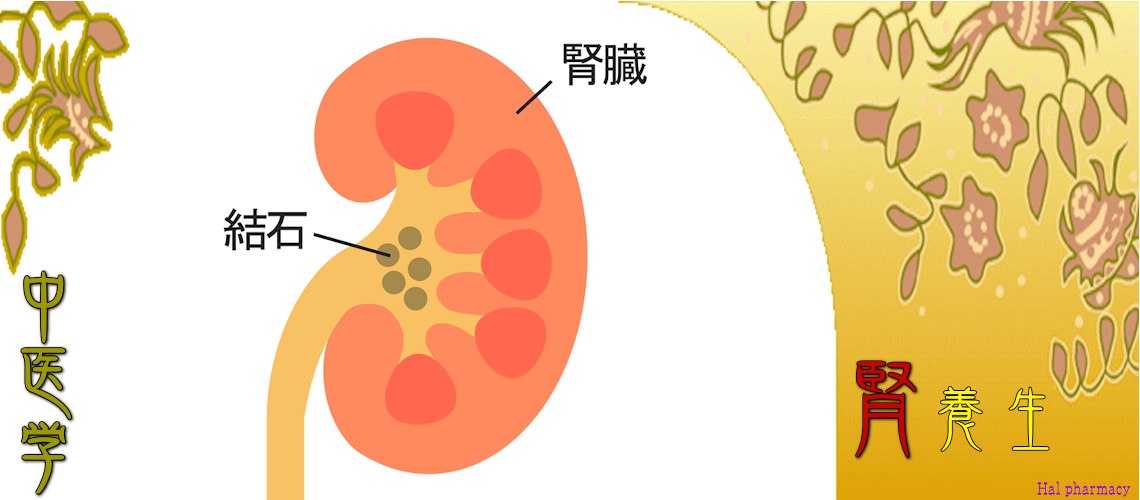 腎・対応（Top-）