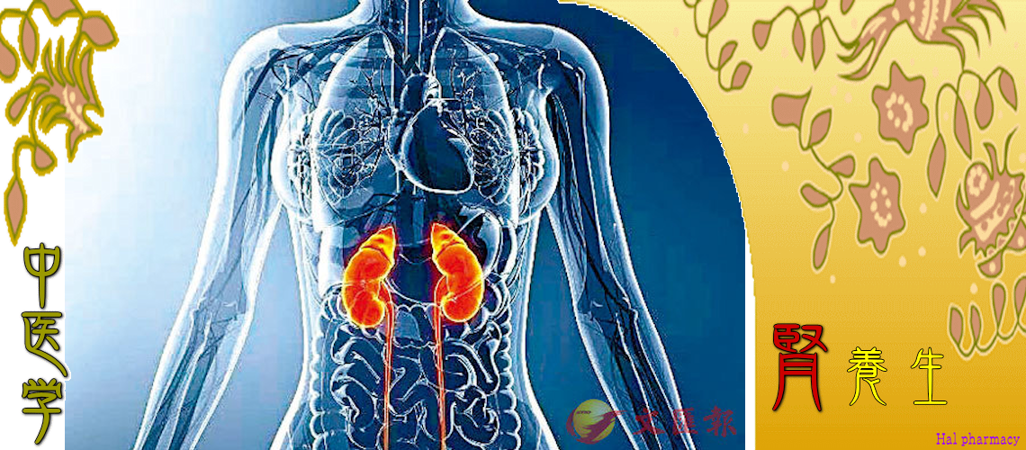 腎・対応（Top-）