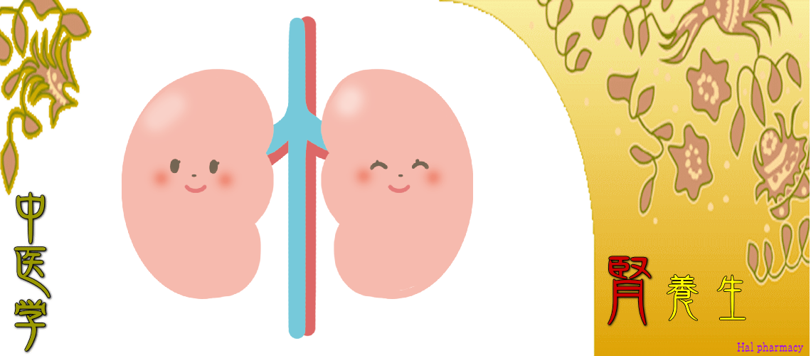 腎・対応（Top-）
