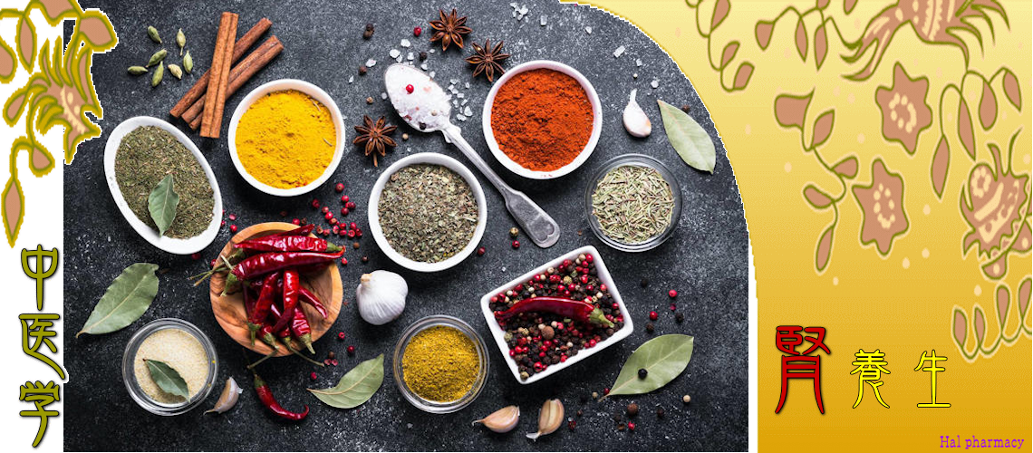 腎・対応（Top-）